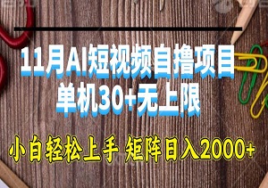 11月AI短视频自撸项目，单机30+无上限，小白轻松上手，矩阵日入2000+-二八网赚