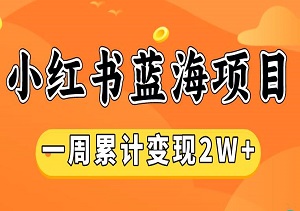 小红书蓝海项目，卖图片一周累计变现2W+，小白轻松上手-二八网赚