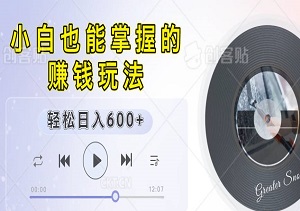 轻松日入600+，0基础小白也能掌握的升级暴利车载U盘私域玩法-二八网赚