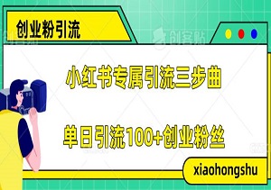 小红书专属引流三步曲，单日引流100+创业粉丝，流量暴涨变现无虑（内附视频教程）-二八网赚