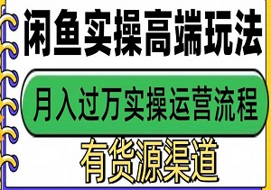 闲鱼无货源电商，简单操作，0基础新手也能日入300+-二八网赚