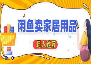 闲鱼卖家居用品月入过万，最新技巧零基础教学，新手当天轻松上手-二八网赚