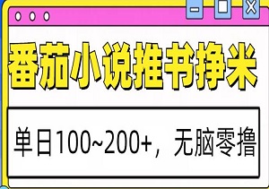 番茄小说推书挣米，单日100-200+，无脑零成本操作-二八网赚