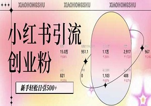 AI助力小红书引流，无脑操作，粉丝自动转化，新手轻松日引500+创业粉-二八网赚