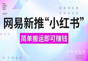 网易官方新推“小红书”，搬运即有收益，新手小白千万别错过（附详细教程）-二八网赚