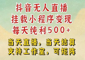 启动抖音无人挂机计划，日入500+，合规小程序运作，多账号轻松管理-二八网赚