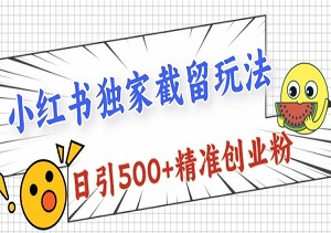 最新小红书截流玩法 独家“截中截” 单号成本几块钱 日引500+精准粉创业粉-二八网赚