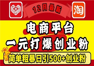 12月电商平台引流秘籍，1元撬动500+精准创业粉，轻松达成月入过万-二八网赚