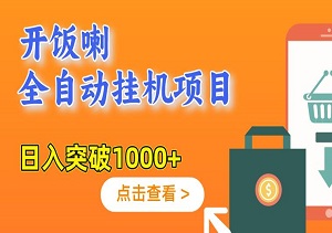 开饭喇全自动挂机项目，每天半小时轻松操作，日入突破1000+（内附软件脚本）-二八网赚