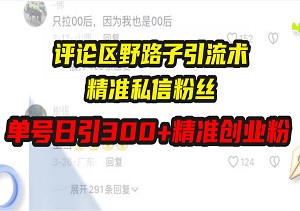 评论区野路子引流术，精准私信锁定目标，单日引流300+精准创业粉-二八网赚