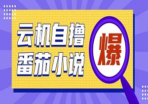 低成本高回报，首发云手机自撸小说，10元启动日赚200+，操作简便（内附软件工具）-二八网赚