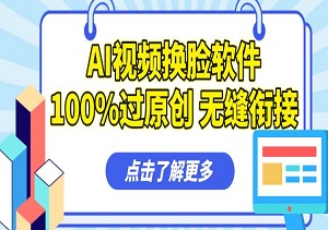 AI视频换脸软件，100%过原创，无缝衔接，搬运和打粉的终极解决方案（内附资料）-二八网赚