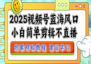 2025视频号蓝海风口，小白简单剪辑不直播，抓住机会日入1000+（内附素材和完整教程）-二八网赚