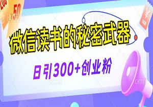 微信读书的秘密武器，小众打法日引300+精准创业粉，长尾流量永不枯竭-二八网赚