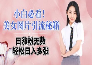 小白必看！美女图片引流秘籍，日涨粉无数，轻松日入多张（内附美女素材）-二八网赚