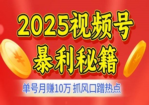 2025视频号暴利秘籍，单号月赚10万，抓风口蹭热点快速出单（内附素材教程）-二八网赚