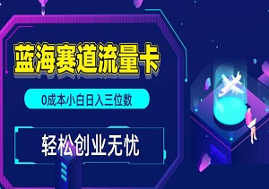 蓝海赛道流量卡，0成本小白日入三位数，轻松创业无忧（内附资料）-二八网赚