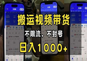 纯自然流日入1000+！小白必看搬运视频带货，不限流不封号（内附素材资料）-二八网赚