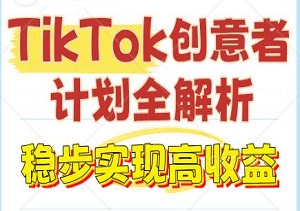 TikTok创意者计划全解析，轻松规避违规，稳步实现高收益-二八网赚