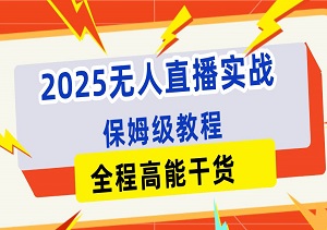 2025无人直播实战，保姆级教程，全程高能干货，新老手轻松玩转-二八网赚