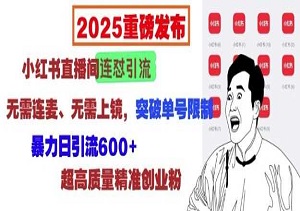 2025全新引流，小红书直播间连怼秘籍，轻松日引600+流量，无连麦无上镜要求！-二八网赚