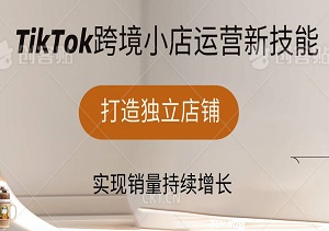 解锁TikTok跨境小店运营新技能，打造独立店铺，实现销量持续增长-二八网赚