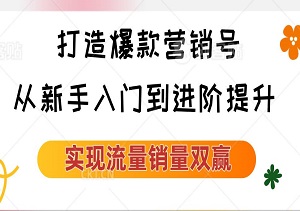 打造爆款营销号，从新手入门到进阶提升，助你打造爆款，实现流量销量双赢-二八网赚