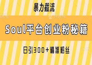 Soul平台创业粉秘籍，暴力截流，日引300+精准粉丝，新手也能当天见效-二八网赚