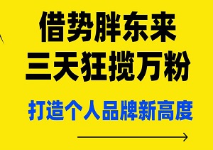 借势胖东来，三天狂揽万粉，收益飙升，打造个人品牌新高度！-二八网赚