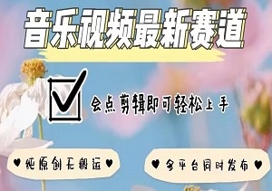 音乐视频爆款制造机，原创不违规，全渠道覆盖，简单剪辑打造专属爆款！-二八网赚