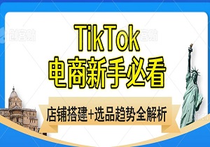 2025TK电商新手必看，店铺搭建+选品趋势全解析，宅家也能卖货全球！-二八网赚