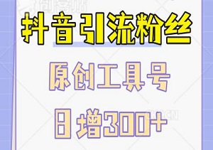 抖音引流粉丝，10分钟打造原创工具号，矩阵运营引爆流量，日增300+精准创业粉！-二八网赚