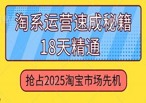 淘系运营速成秘籍，18天精通，抢占2025淘宝市场先机-二八网赚