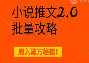 小说推文2.0批量攻略，单号单平台，周入破万秘籍！-二八网赚