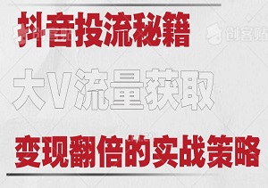 抖音投流秘籍，揭秘大V流量获取与变现翻倍的实战策略-二八网赚