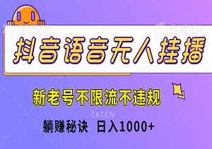 躺赚秘诀，抖音语音无人挂播，新老号不限流不违规，日入1000+-二八网赚