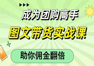 成为团购高手，抢占本地生活蓝海！图文带货实战课，助你佣金翻倍，比传统带货更快看到收益！-二八网赚