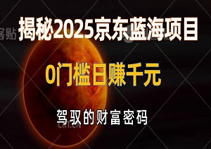 揭秘2025京东蓝海项目，0门槛日赚千元，小白宝妈也能轻松驾驭的财富密码！-二八网赚