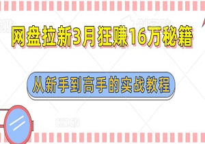 揭秘！网盘拉新3月狂赚16万秘籍：从新手到高手的实战教程-二八网赚