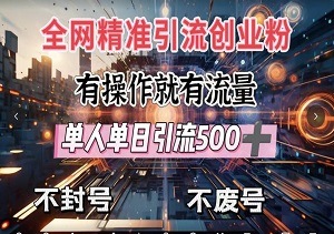 引流秘典，全网独家创业粉引流攻略，单人单日狂揽500+流量，安全不封号！-二八网赚