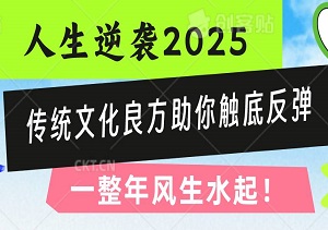 付费文章，人生逆袭2025：传统文化良方助你触底反弹，一整年风生水起！-二八网赚