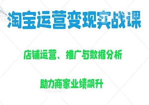 淘宝运营变现实战课：解锁店铺运营、推广与数据分析，助力商家业绩飙升！-二八网赚