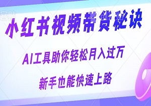 揭秘！小红书视频带货秘诀：AI工具助你轻松月入过万，新手也能快速上路！-二八网赚