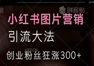 小红书图片营销，单图引流大法，助你笔记爆火，创业粉丝狂涨300+！-二八网赚