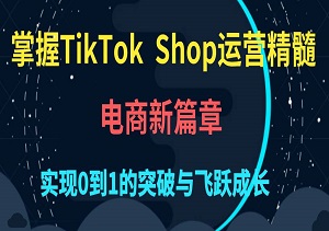 掌握TikTokShop运营精髓，开启电商新篇章：实现0到1的突破与飞跃成长-二八网赚