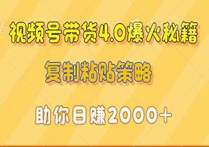 视频号带货4.0爆火秘籍：简易作品打造，极速起号，复制粘贴策略助你日赚2000+-二八网赚