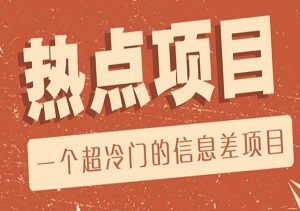 一个超冷门的信息差项目，出售各种协议模板，一个月收益竟高达20000+-二八网赚