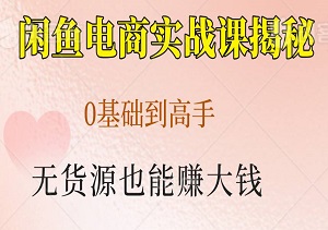 超燃，闲鱼电商实战课揭秘，0基础到高手，无货源也能赚大钱-二八网赚