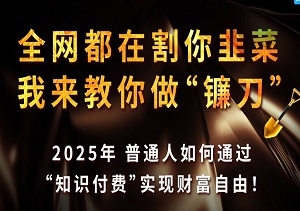 超越韭菜，2025年普通人利用知识付费，打造个人财富的秘密武器-二八网赚