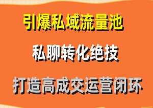 引爆私域流量池，私聊转化绝技，打造高成交运营闭环！-二八网赚